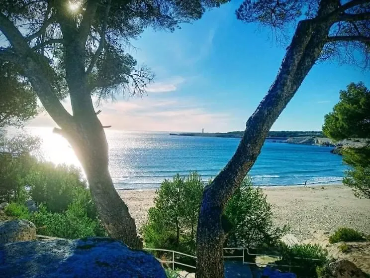Le Pied A Terre De Chantal Au Bord De Mer Martigues 0*,  France